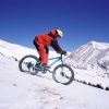 S24109 Elecony 24 Inch Fat Tire Bike Adult/Youth Full Shimano 7 Speeds Mountain Bike, Dual Disc Brake, High-Carbon Steel Frame, Front Suspension, Moun