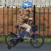 C14111A Kids Bike 14 inch for Boys & Girls with Training Wheels, Freestyle Kids' Bicycle with Bell,Basket and fender.
